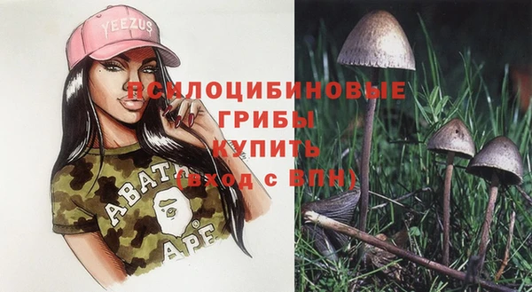 герыч Богородск