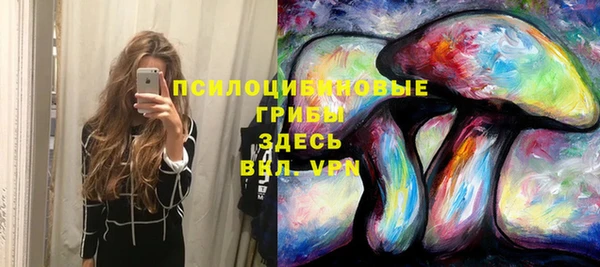 герыч Богородск