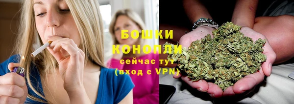 прущие грибы Белокуриха